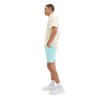 TOM TAILOR Herren Regular Fit Tech Chino Shorts türkis blau