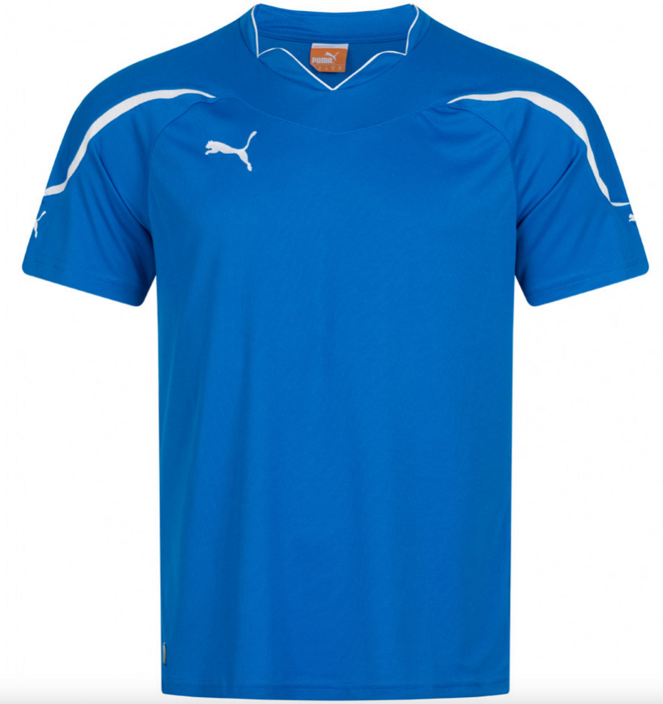 Puma Herren Trikot EM Fussball Sport T Shirt blau Sportsgeiz