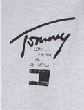 Tommy Jeans Kapuzenjacke Spray Paint Hoodie Zip Jacke Herren grau